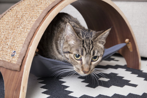 Feline_Innovations_QuickSnap_Cat_Scratcher